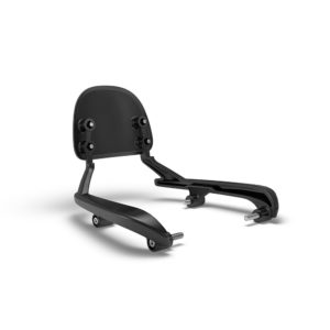 Black Passenger Backrest Mounts