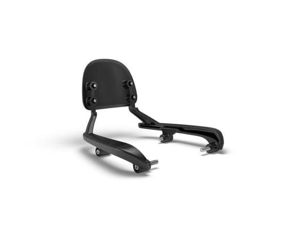 Black Passenger Backrest Mounts